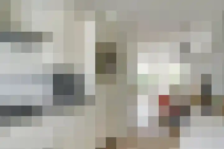 Vogezen 44 Assendelft thumbnail 17