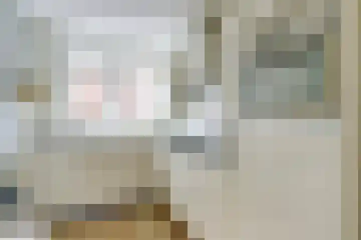 Vogezen 44 Assendelft thumbnail 18