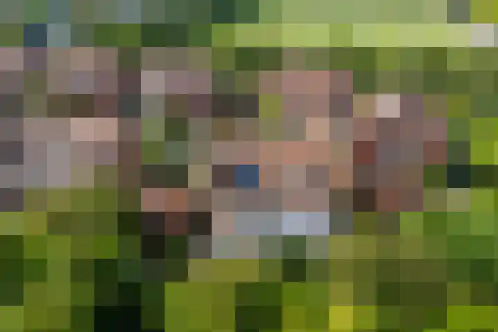 Vogezen 44 Assendelft thumbnail 21