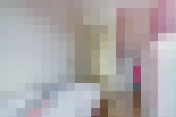 Vogezen 44 Assendelft thumbnail 28