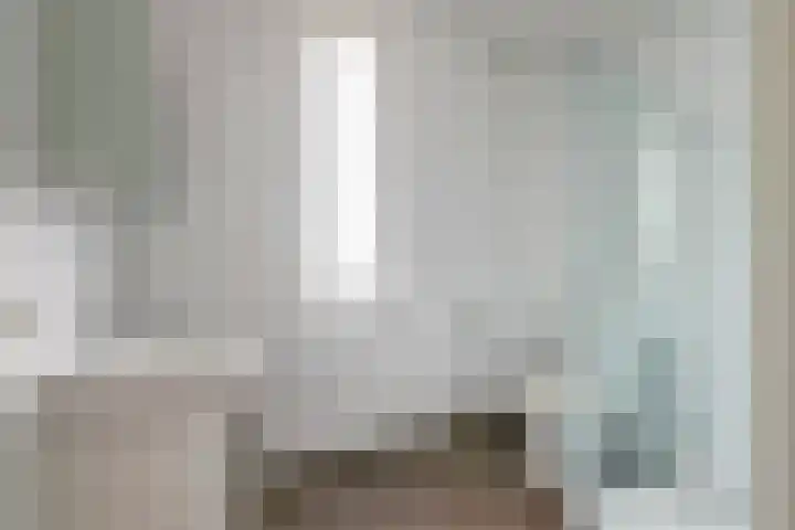 Vogezen 44 Assendelft thumbnail 29