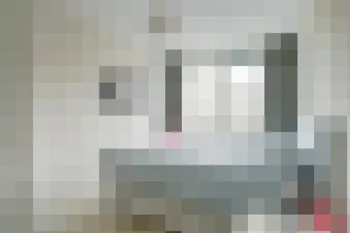 Vogezen 44 Assendelft foto 3