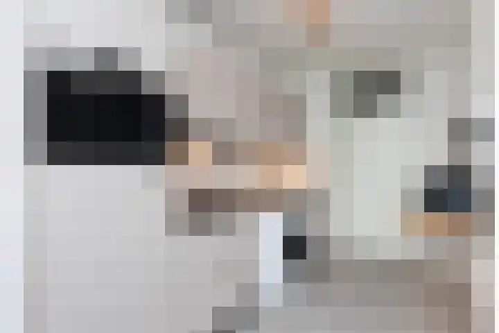 Vogezen 44 Assendelft thumbnail 31