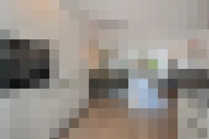 Vogezen 44 Assendelft thumbnail 32