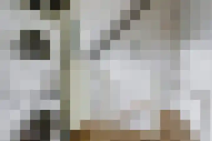 Vogezen 44 Assendelft thumbnail 33