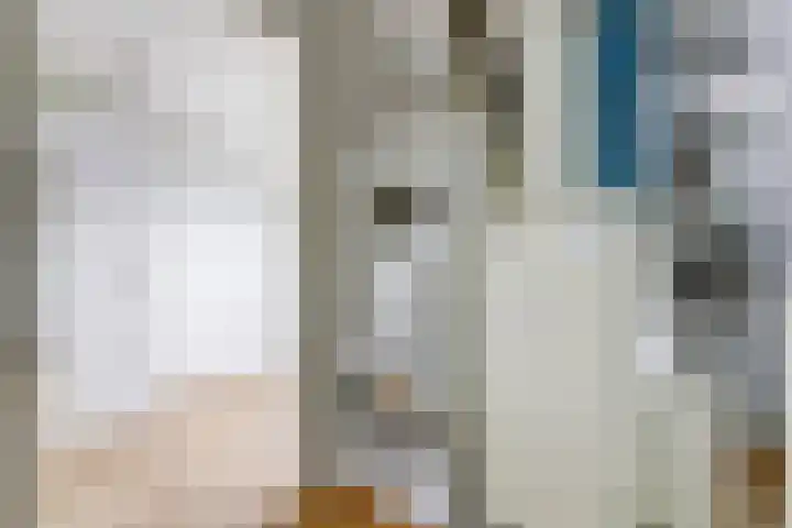 Vogezen 44 Assendelft thumbnail 34