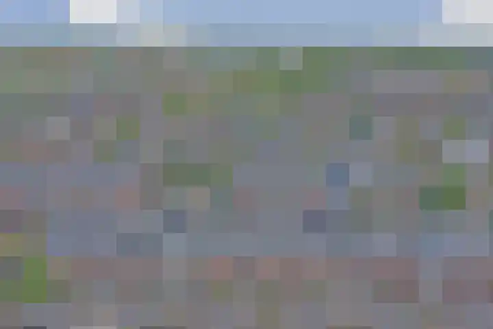 Vogezen 44 Assendelft thumbnail 46