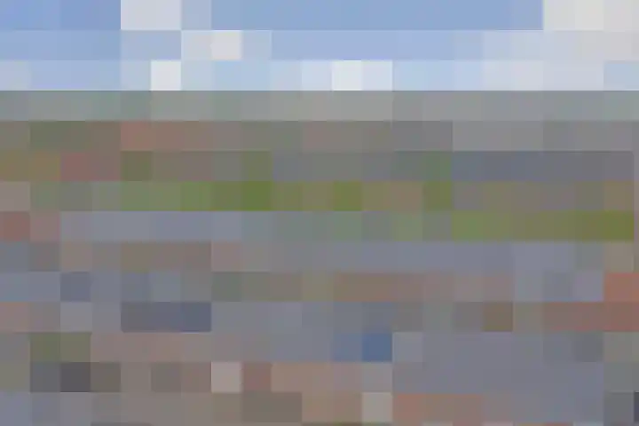 Vogezen 44 Assendelft thumbnail 47