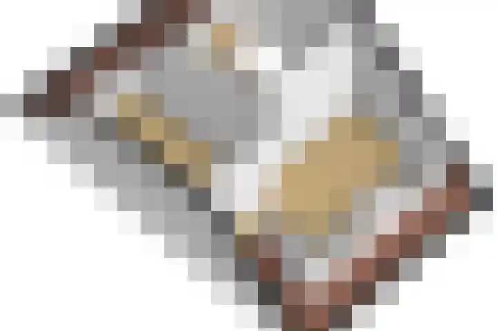 Vogezen 44 Assendelft thumbnail 51