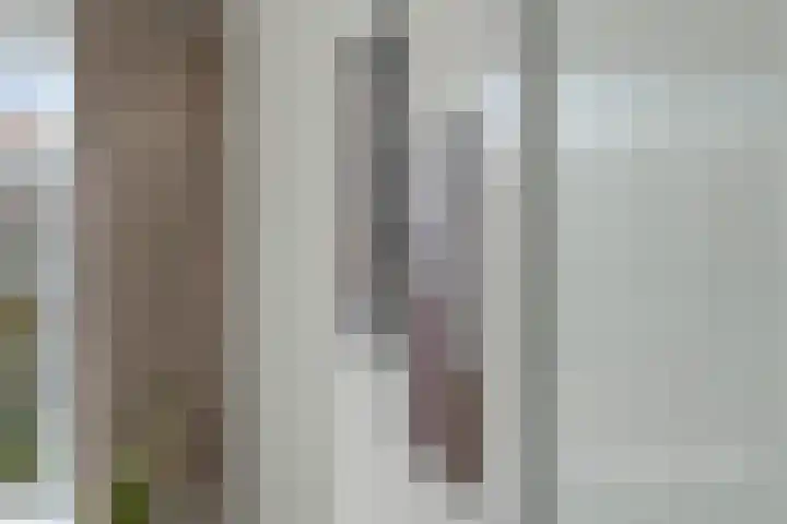 Vogezen 44 Assendelft thumbnail 8