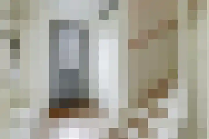 Vogezen 44 Assendelft thumbnail 9