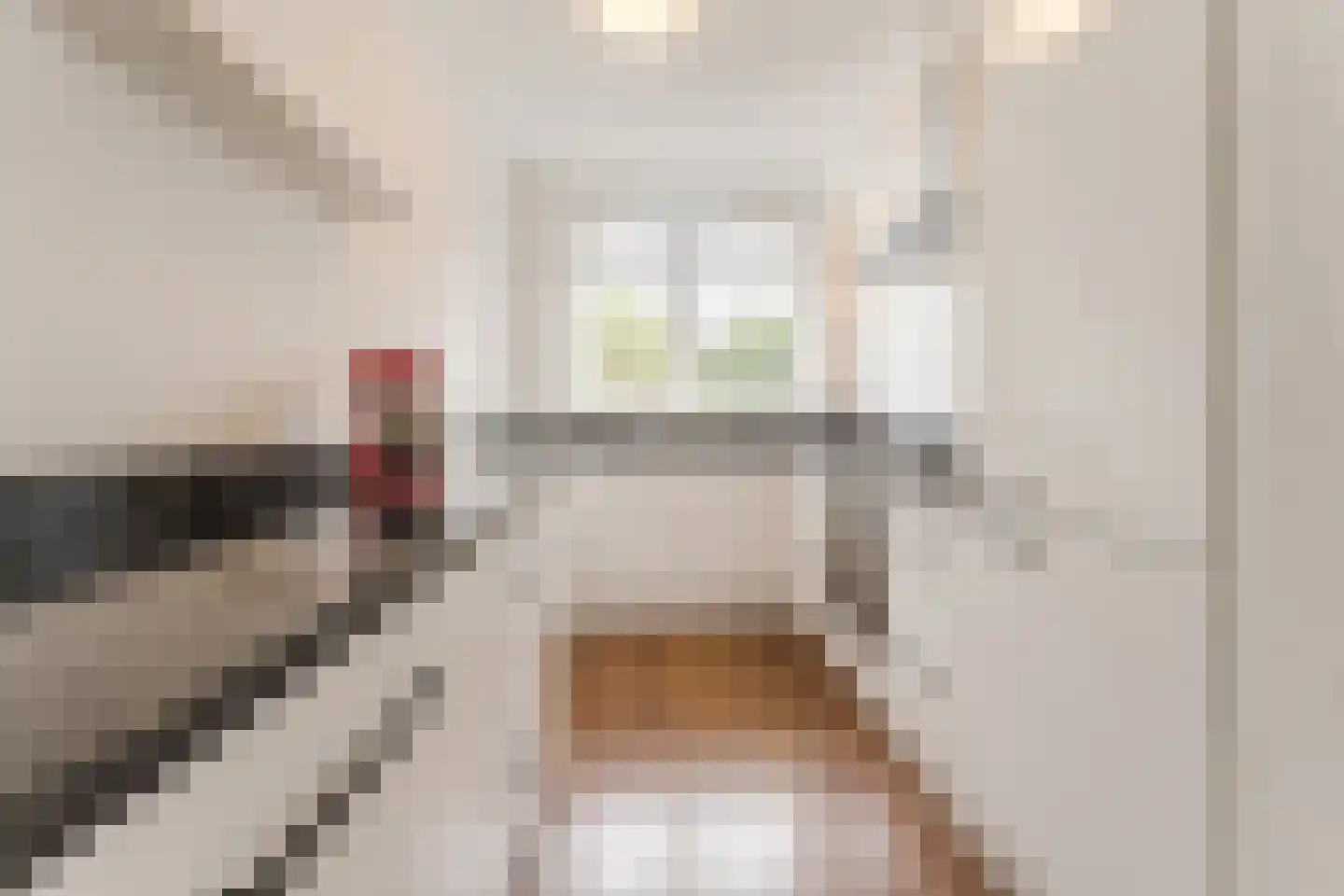 Vogezen 48 Assendelft thumbnail 15