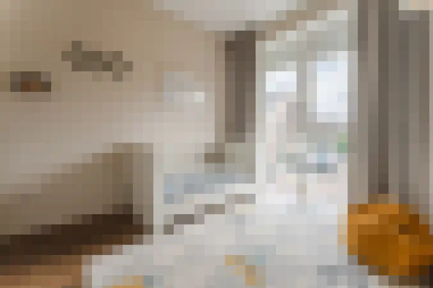 Vogezen 48 Assendelft thumbnail 27
