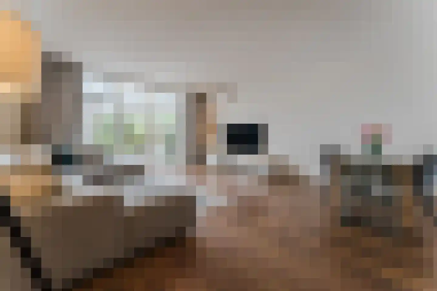 Vogezen 48 Assendelft thumbnail 4
