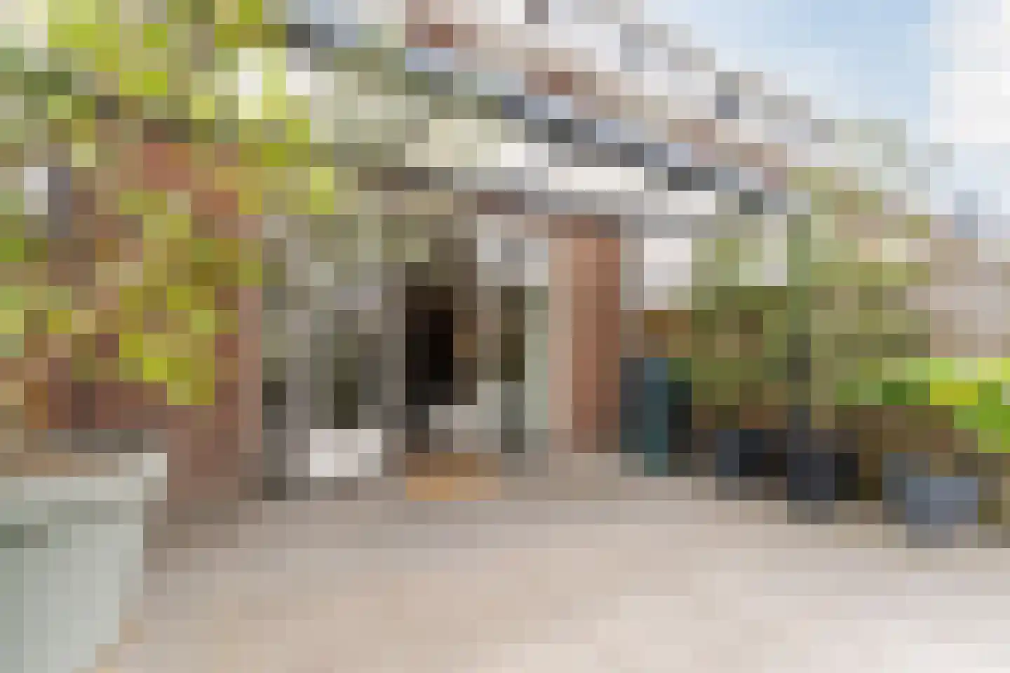 Vogezen 48 Assendelft thumbnail 45