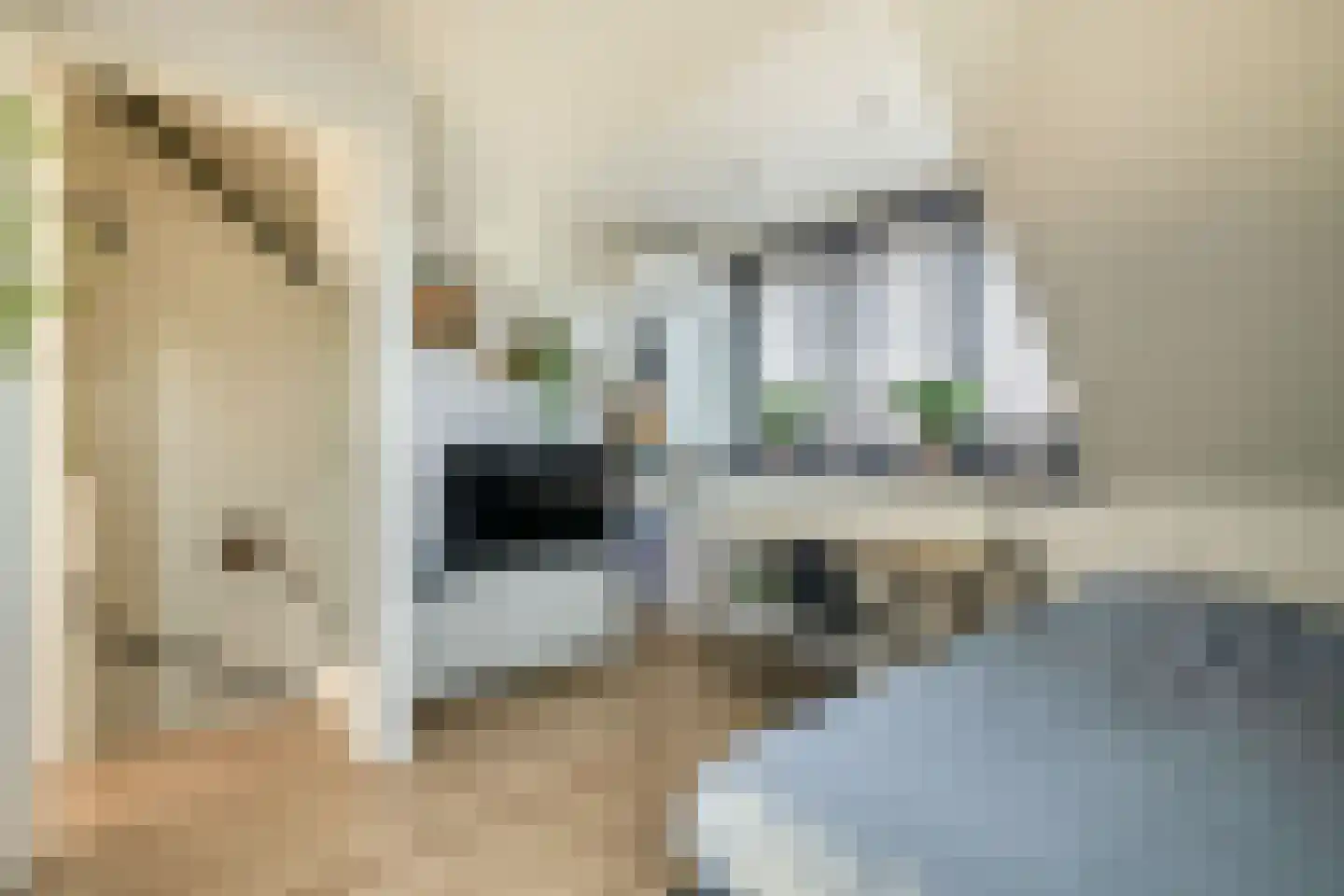 Vogezen 56 Assendelft thumbnail 37