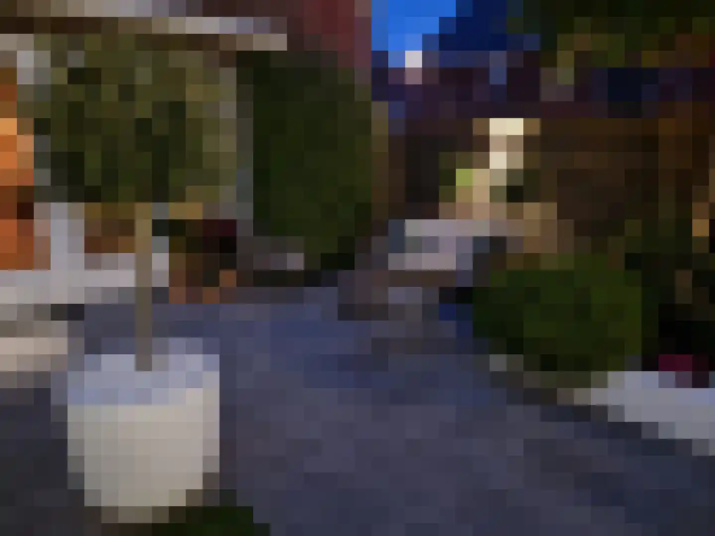 Vogezen 56 Assendelft thumbnail 55