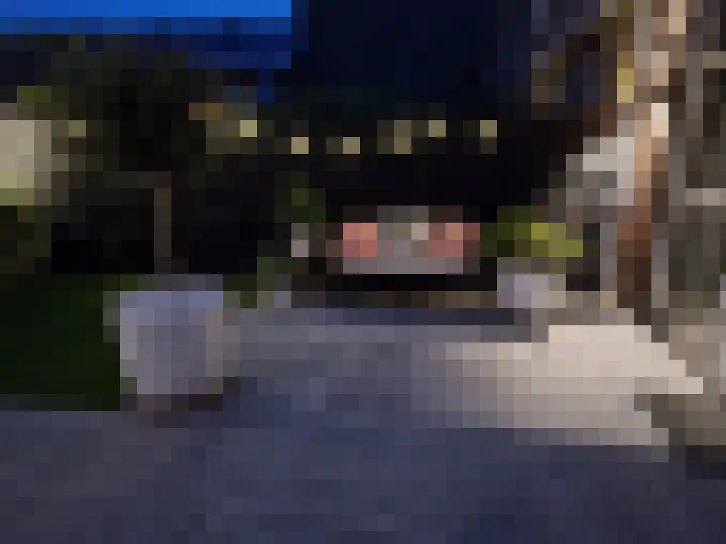 Vogezen 56 Assendelft thumbnail 56