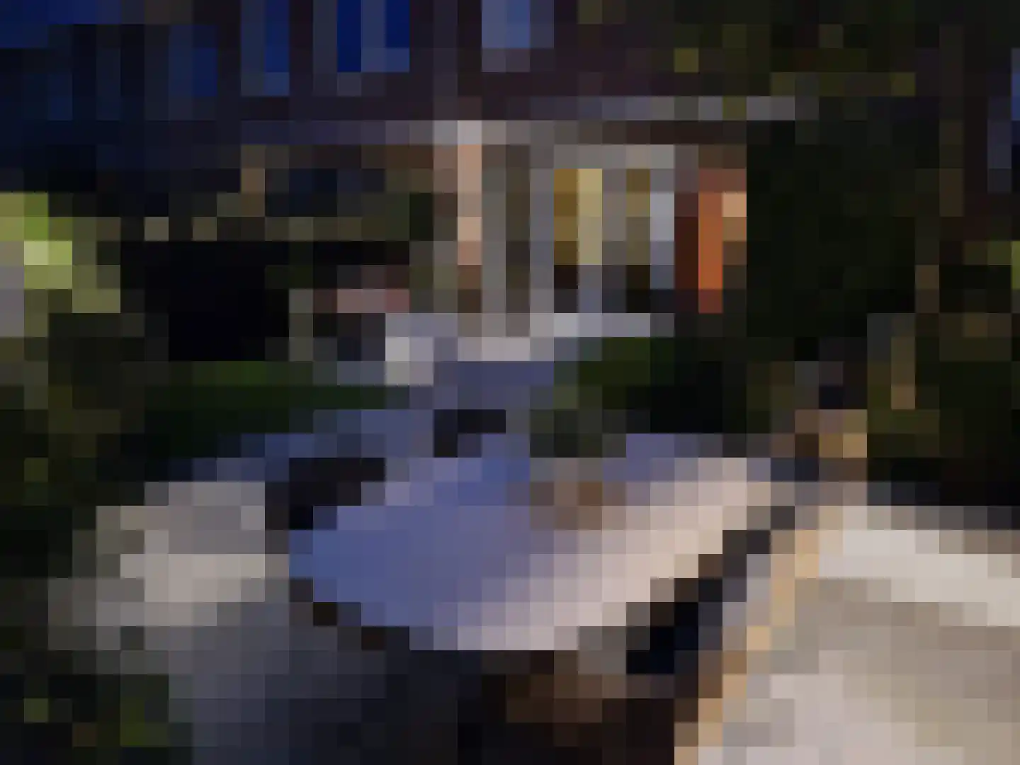 Vogezen 56 Assendelft thumbnail 57