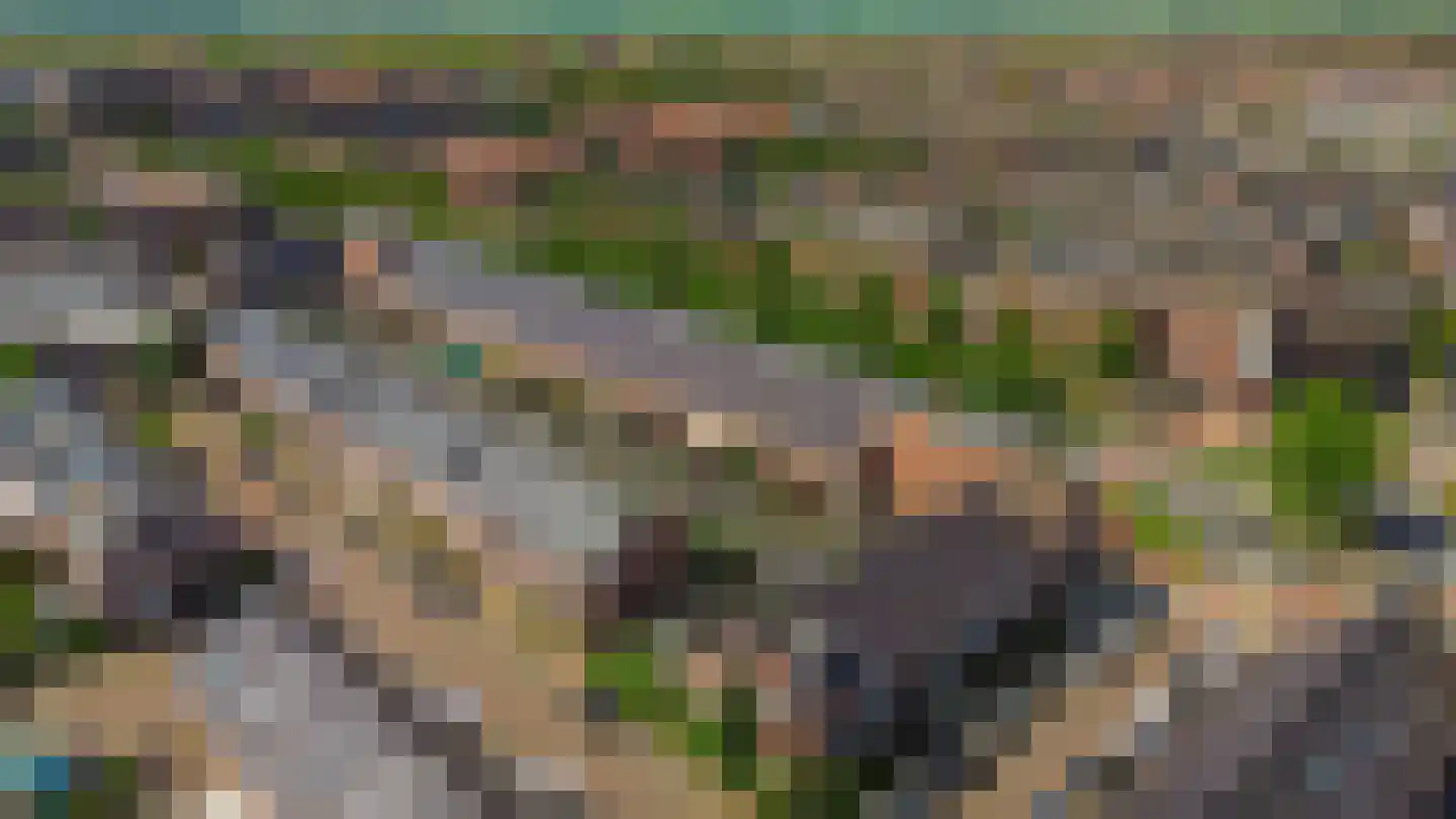 Vogezen 56 Assendelft thumbnail 61