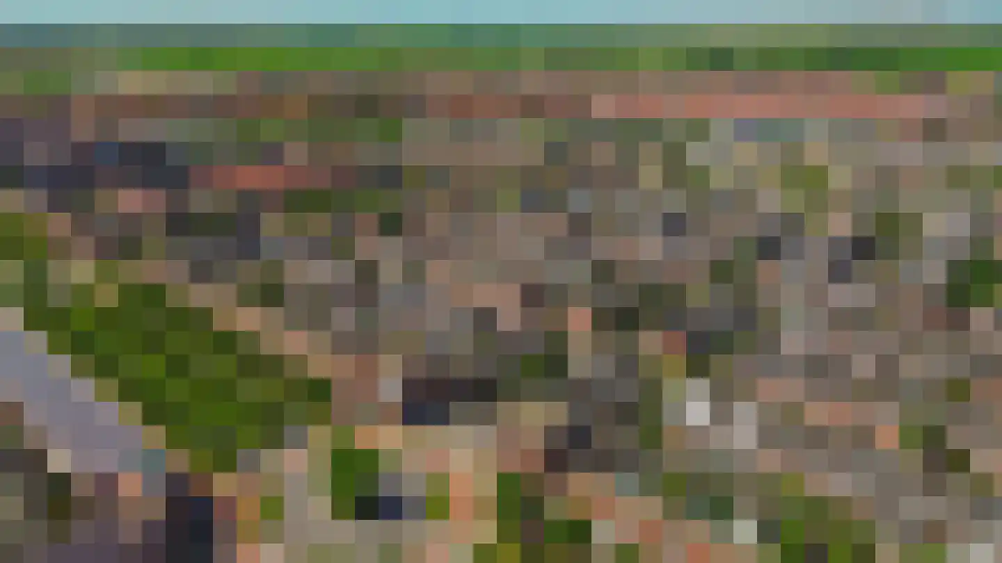 Vogezen 56 Assendelft thumbnail 64