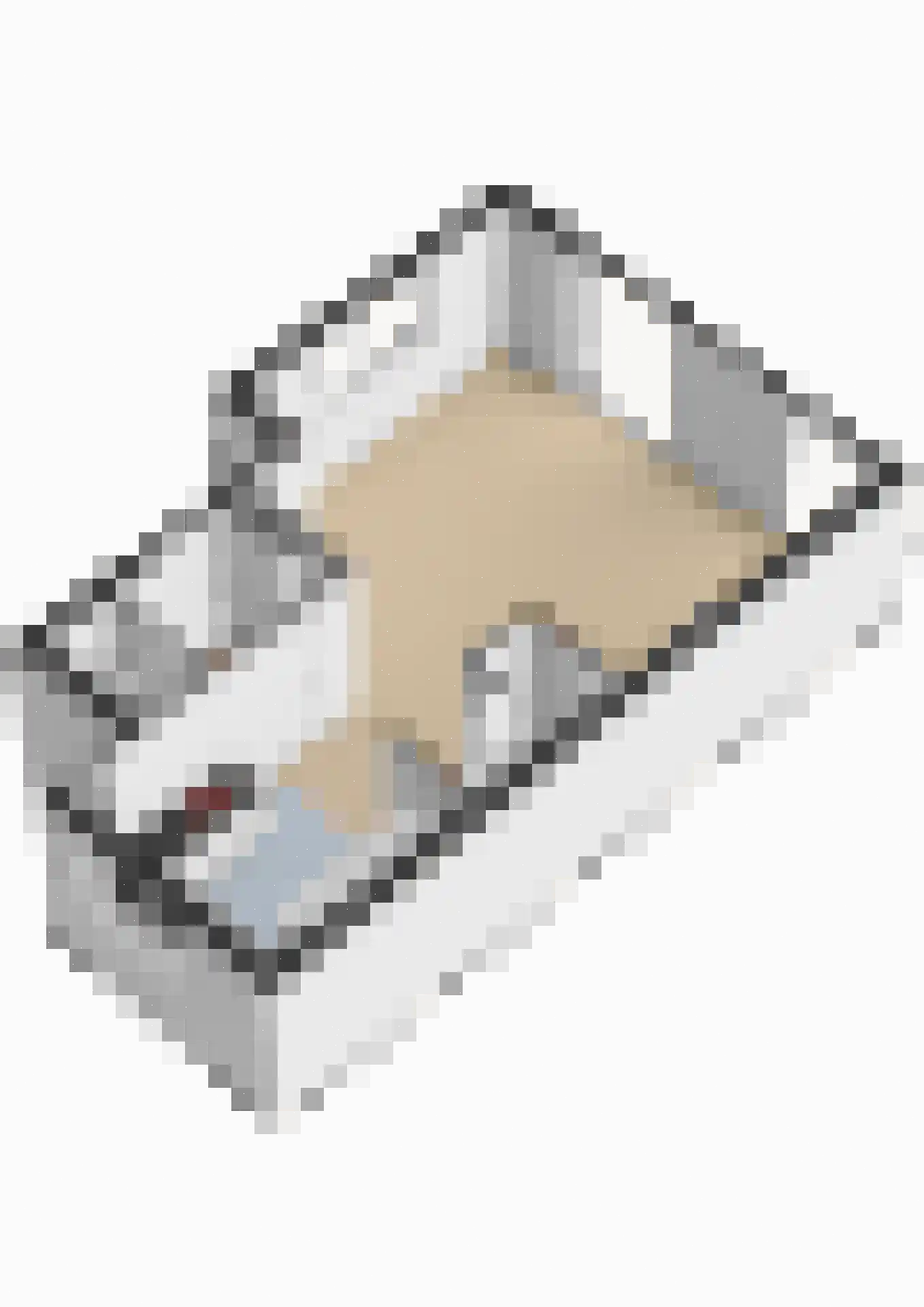 Vogezen 56 Assendelft thumbnail 67