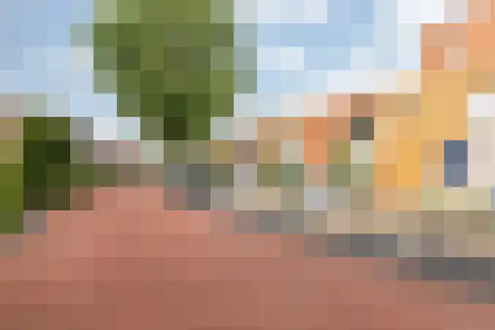 Vogezen 69 Doetinchem thumbnail 12
