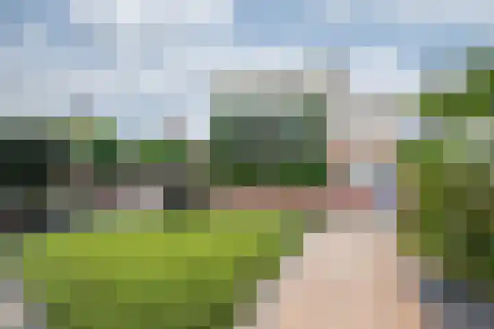 Vogezen 69 Doetinchem thumbnail 14
