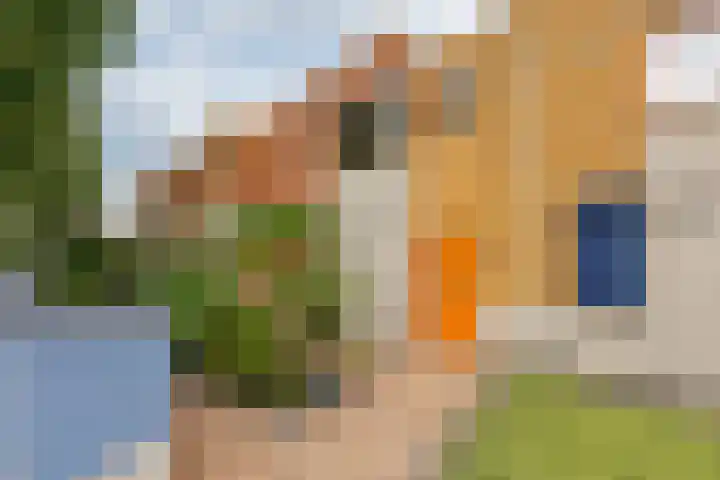 Vogezen 69 Doetinchem thumbnail 15