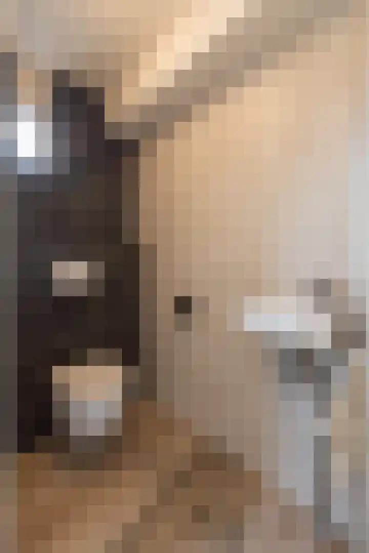 Vogezen 69 Doetinchem thumbnail 17