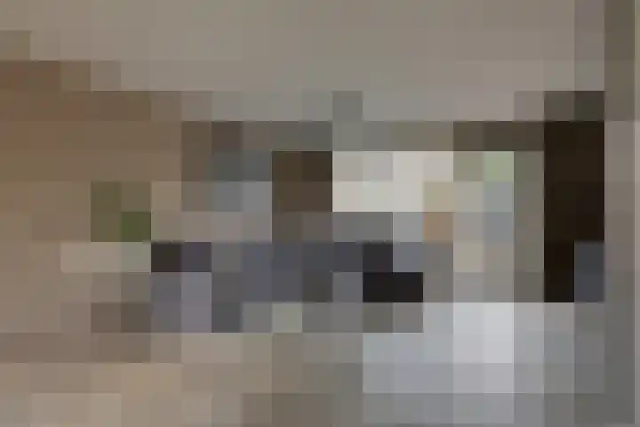 Vogezen 69 Doetinchem thumbnail 20