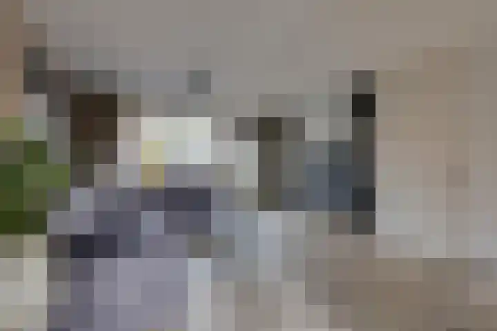 Vogezen 69 Doetinchem thumbnail 21