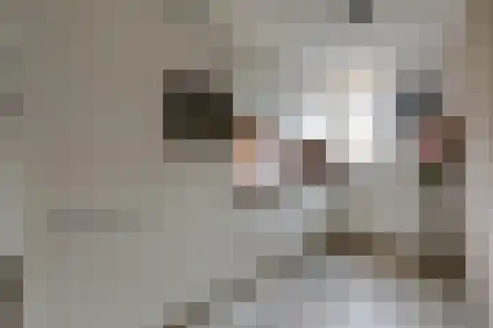 Vogezen 69 Doetinchem thumbnail 24
