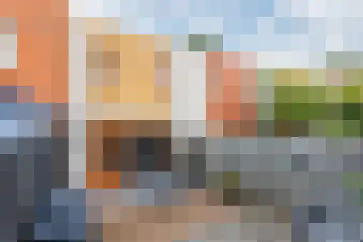 Vogezen 69 Doetinchem foto 3