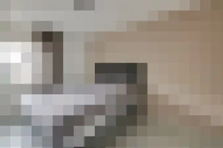 Vogezen 69 Doetinchem thumbnail 31