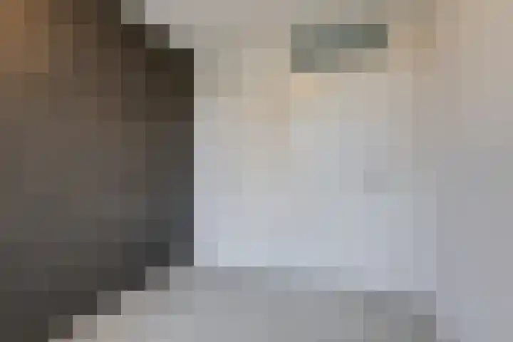 Vogezen 69 Doetinchem thumbnail 34