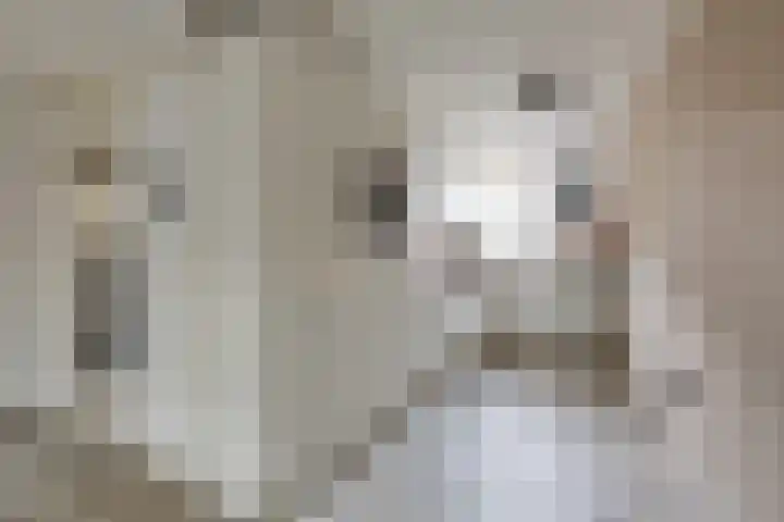 Vogezen 69 Doetinchem thumbnail 4