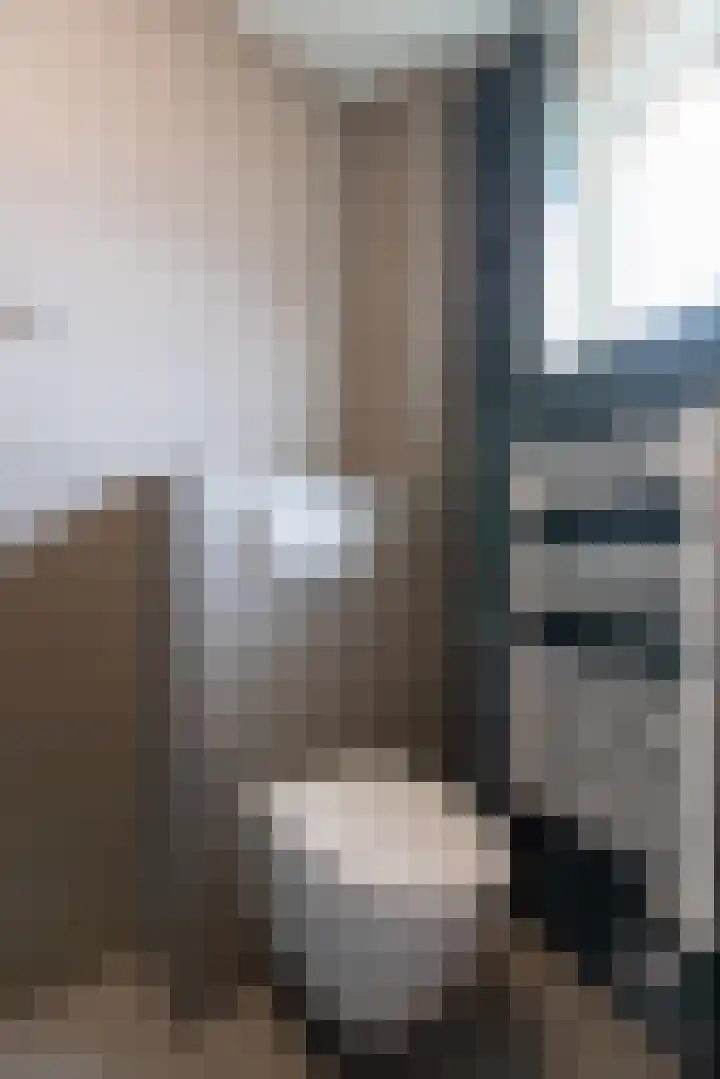 Vogezen 69 Doetinchem thumbnail 43