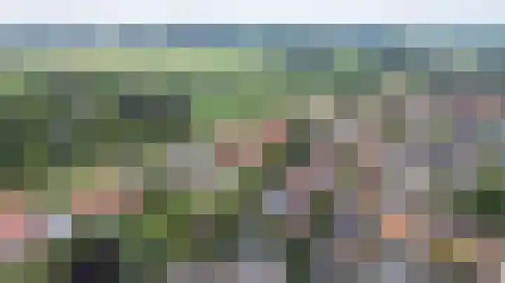 Vogezen 69 Doetinchem thumbnail 7