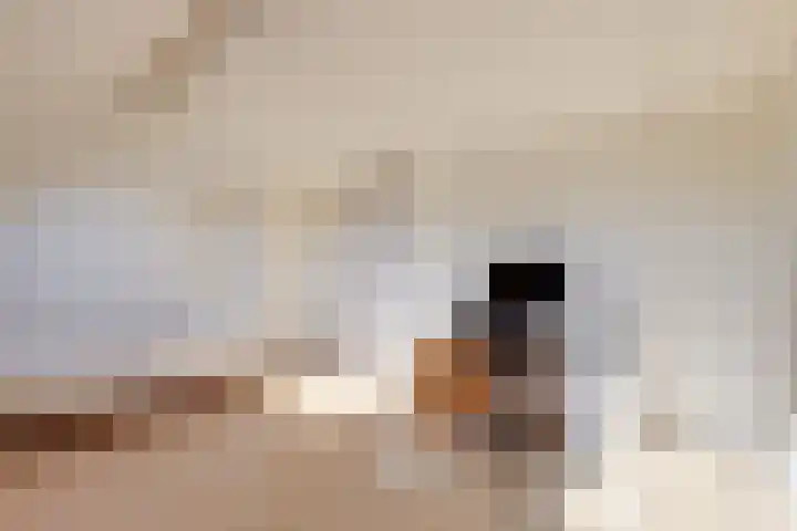 Vogezen 8 Utrecht thumbnail 26