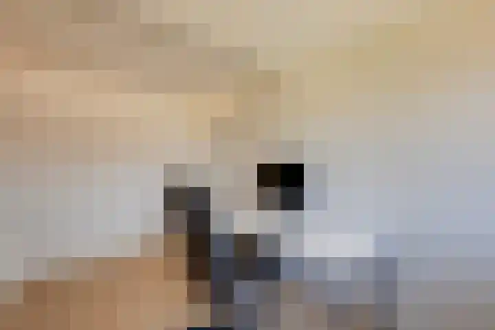 Vogezen 8 Utrecht thumbnail 29