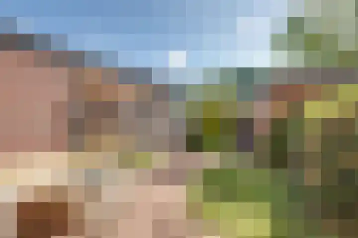 Vogezen 8 Utrecht thumbnail 31