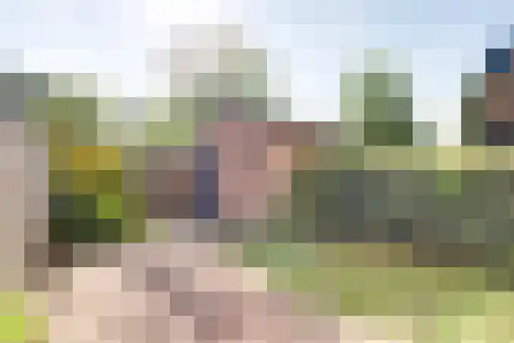 Vogezen 8 Utrecht thumbnail 32