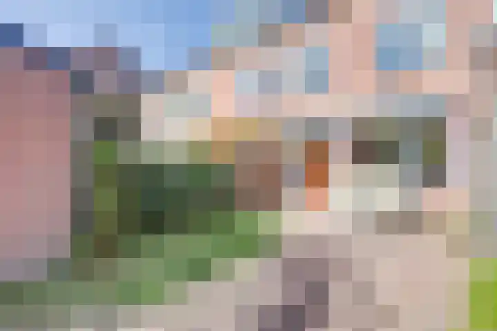 Vogezen 8 Utrecht thumbnail 33