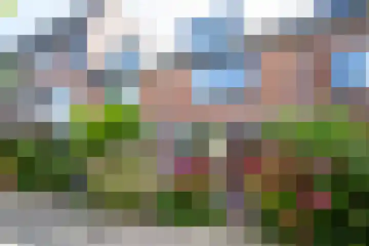 Vogezen 8 Utrecht thumbnail 36