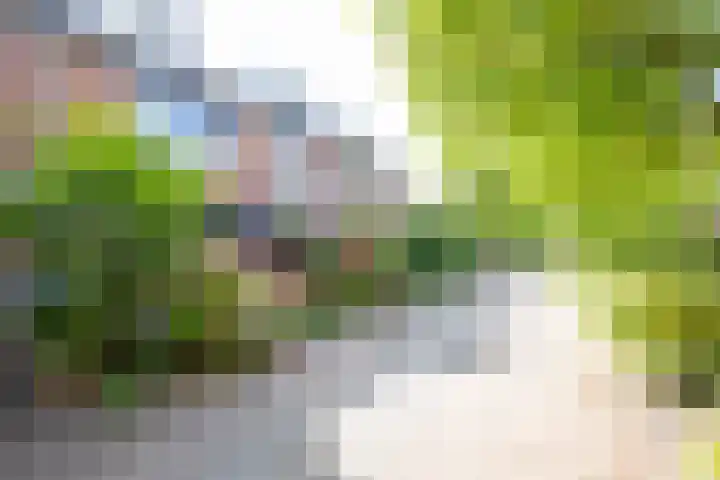 Vogezen 8 Utrecht thumbnail 37