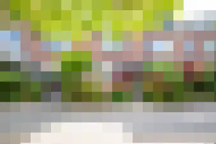 Vogezen 8 Utrecht thumbnail 38