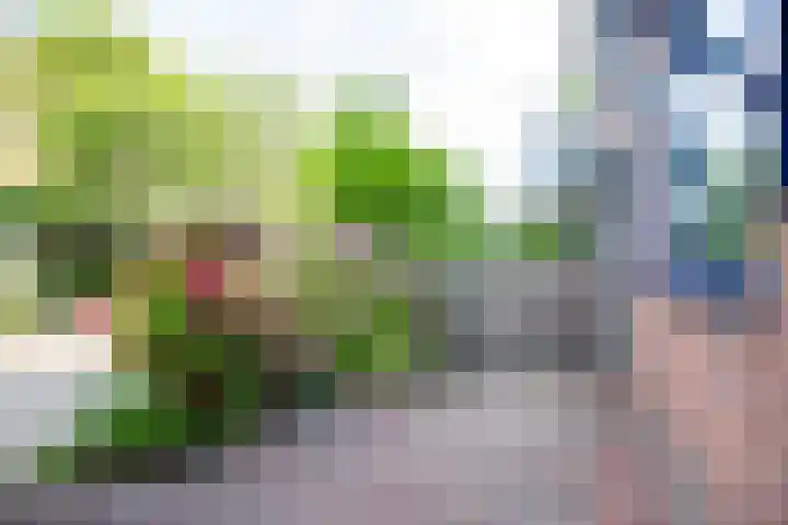 Vogezen 8 Utrecht thumbnail 39