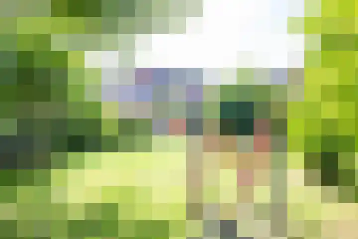 Vogezen 8 Utrecht thumbnail 43
