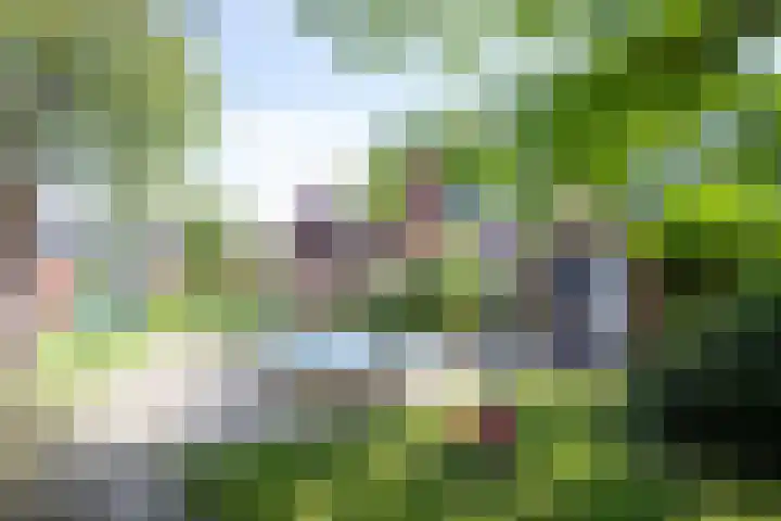 Vogezen 8 Utrecht thumbnail 44